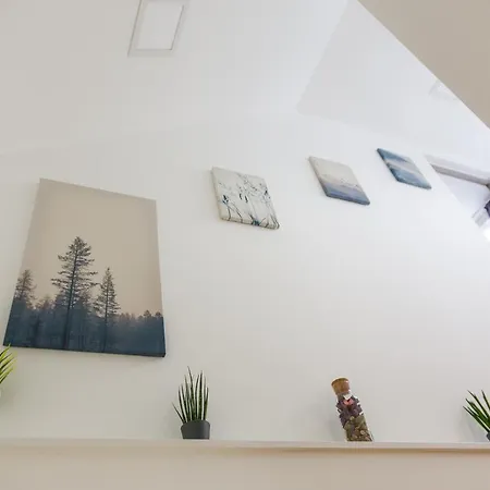 Aranyos Hill 大毛罗什