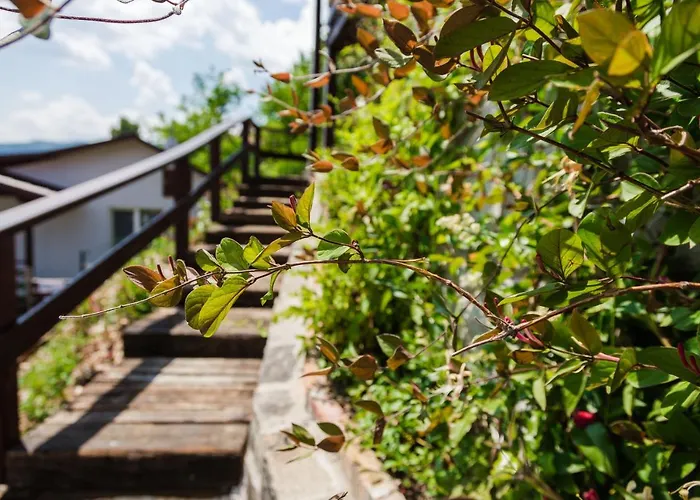 Aranyos Hill * נגימארוש