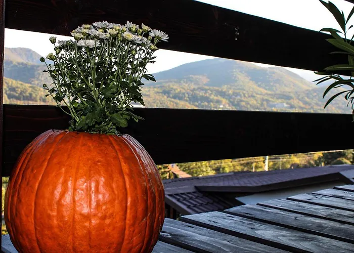 Aranyos Hill דירה נגימארוש